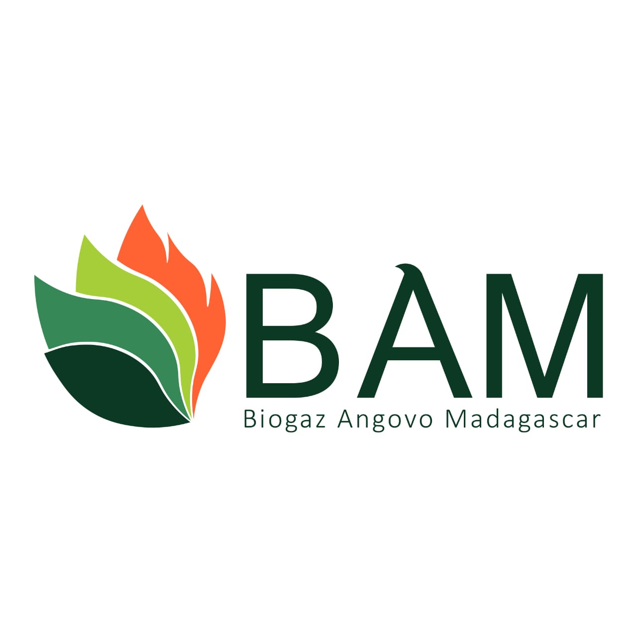 Biogaz Angovo Madagascar