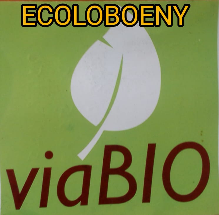 ECOLOBOENY